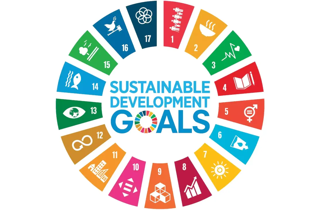 Sustainibility